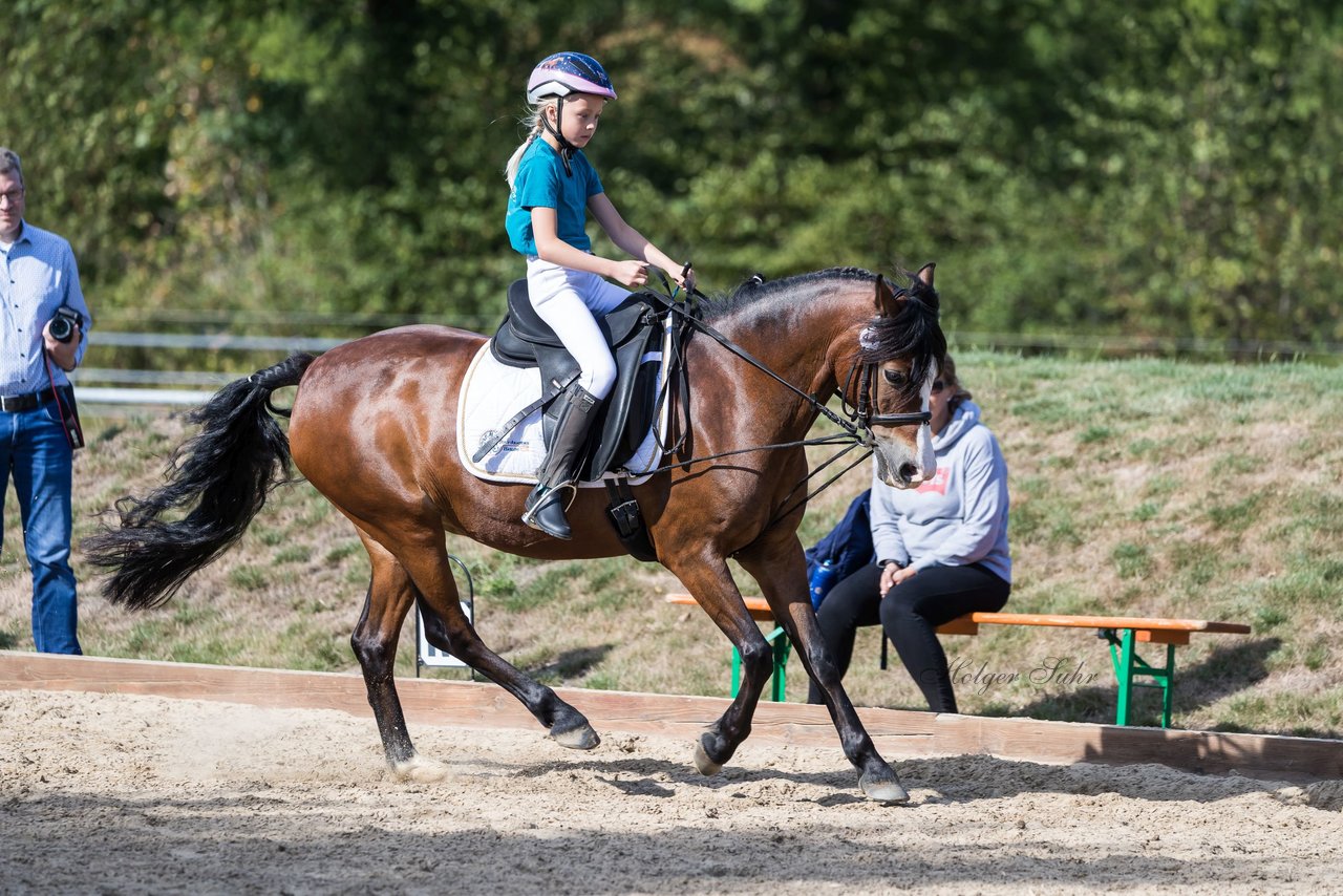 Bild 77 - Pony Akademie Turnier